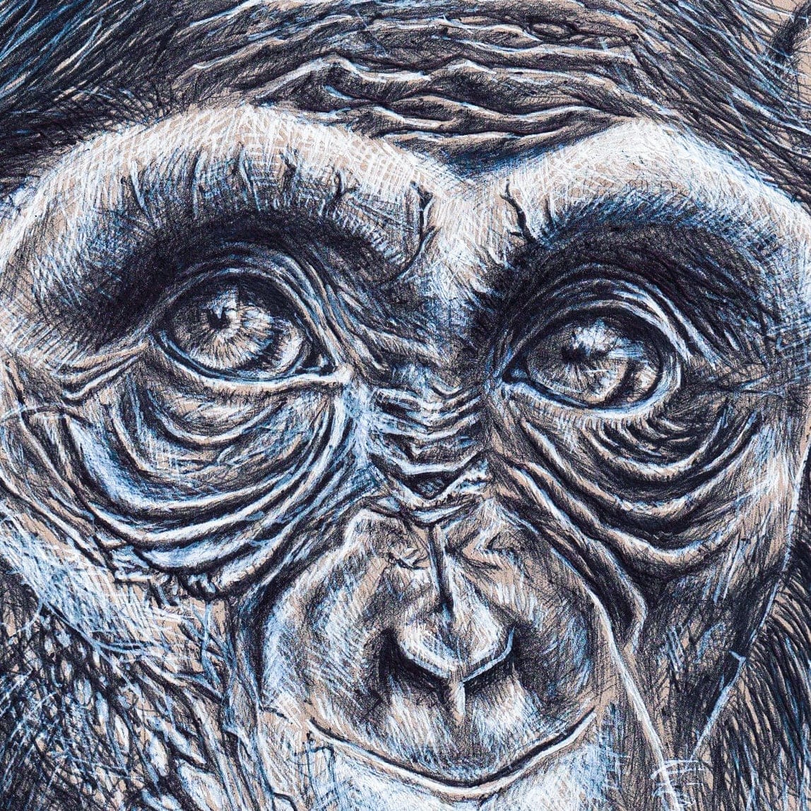Caesar thumbnail 4