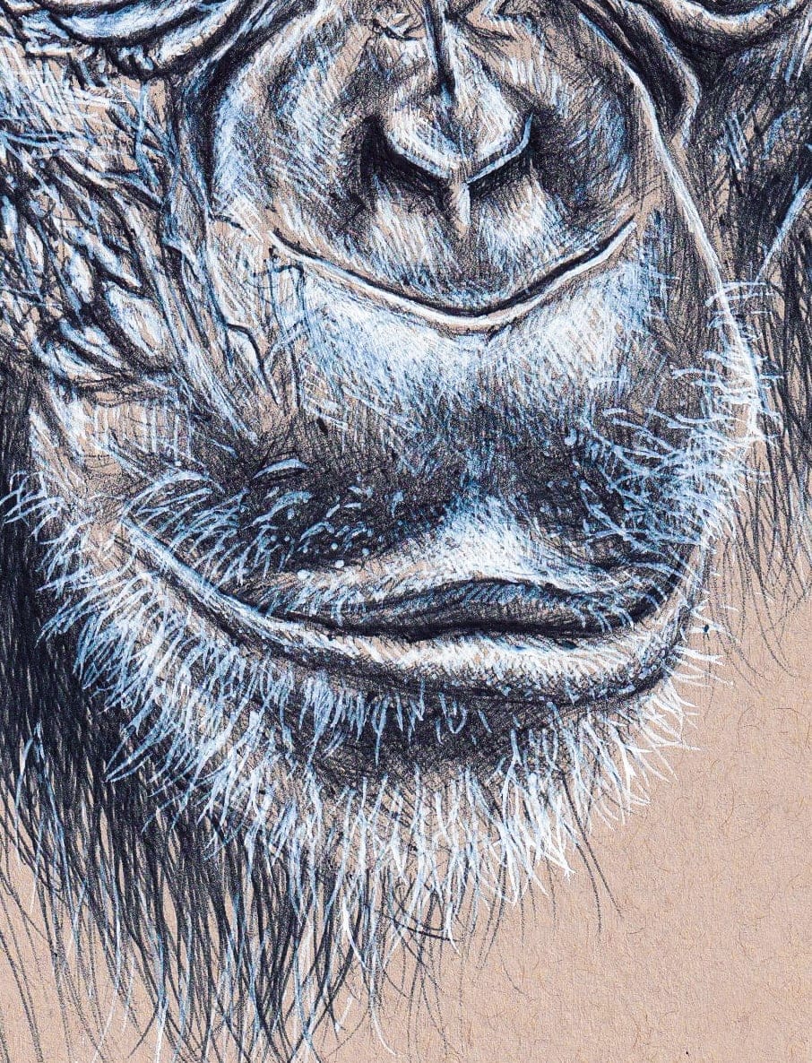 Caesar thumbnail 5