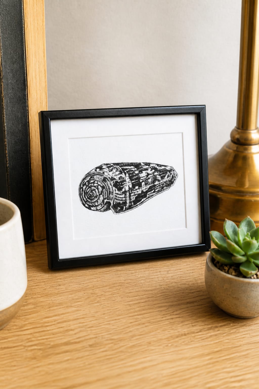 Cone Snail Shell thumbnail 2