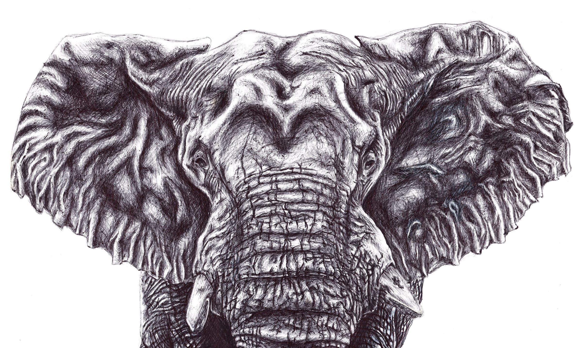 Elephant thumbnail 4