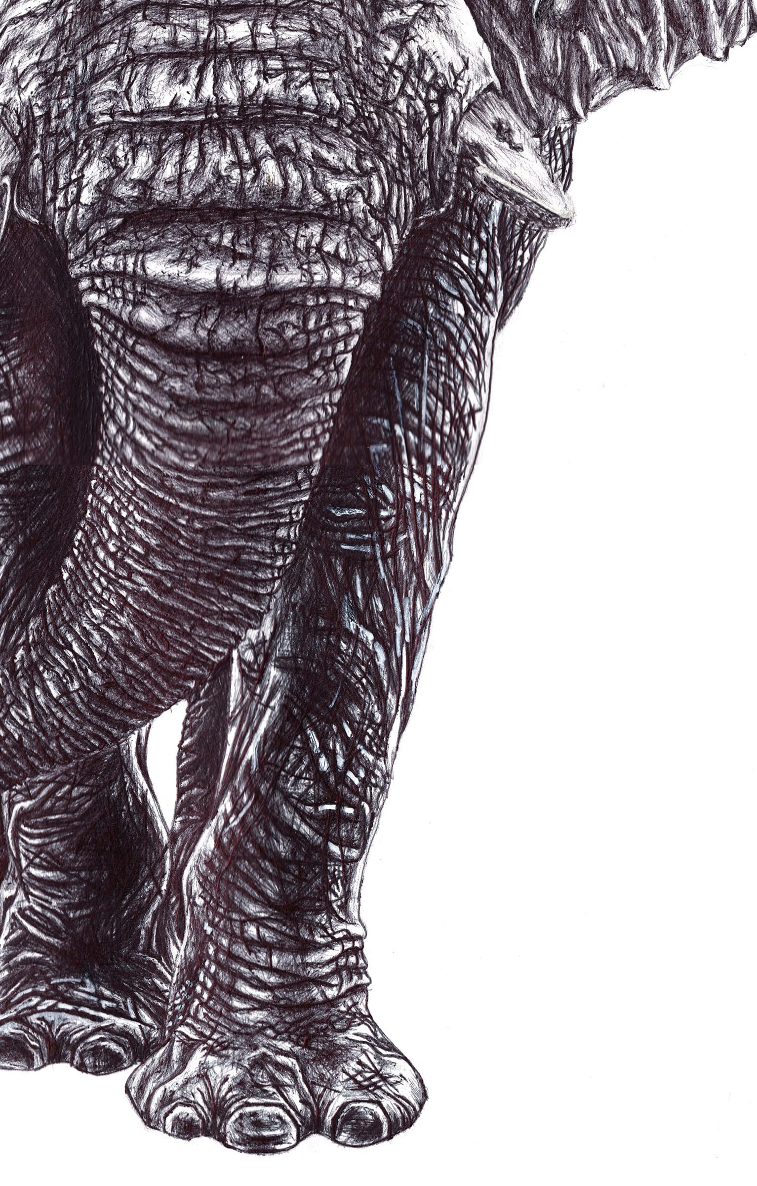 Elephant thumbnail 6