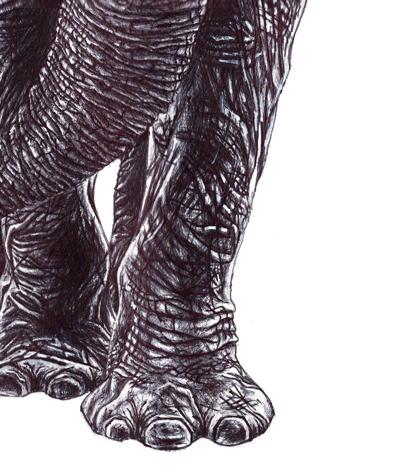 Elephant thumbnail 7