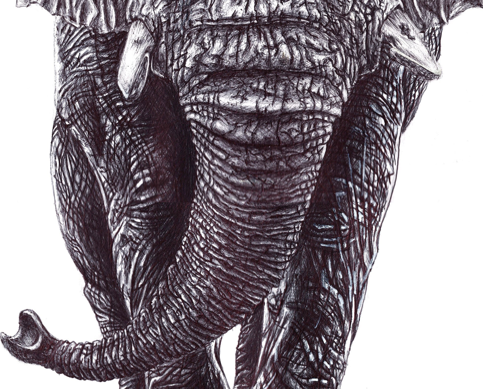 Elephant thumbnail 8
