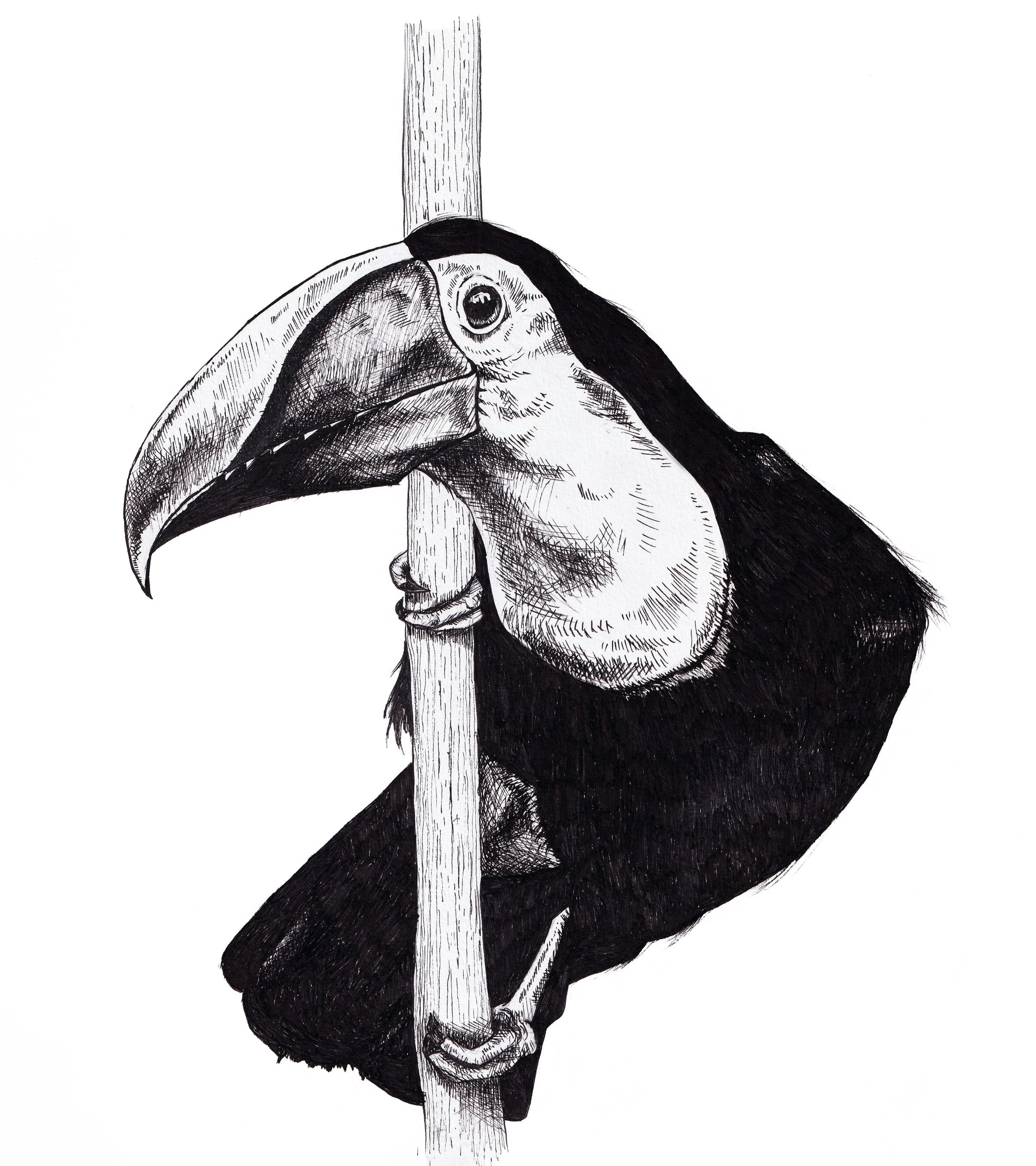 The Eavesdropper