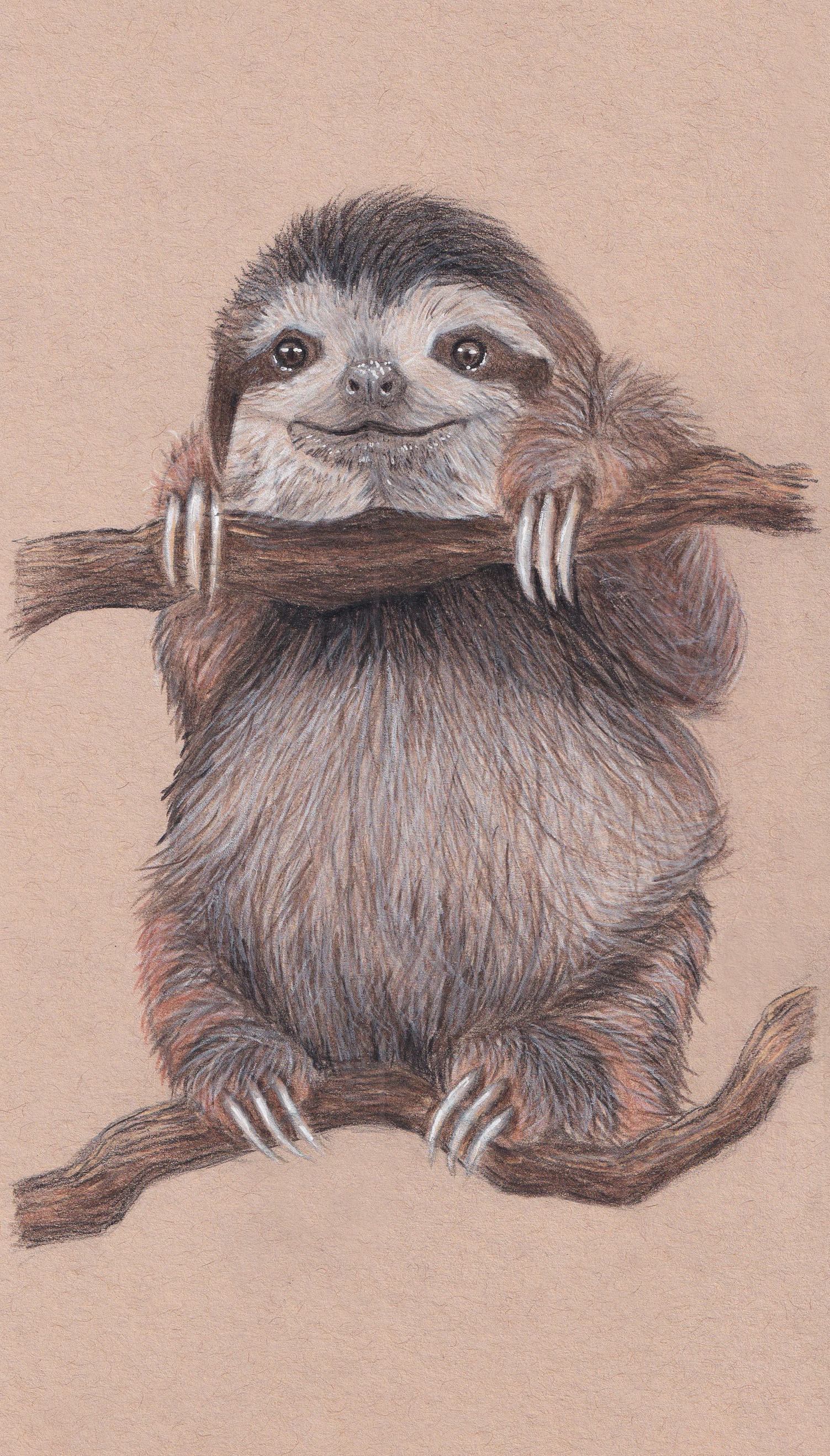 Baby Sloth Drawing