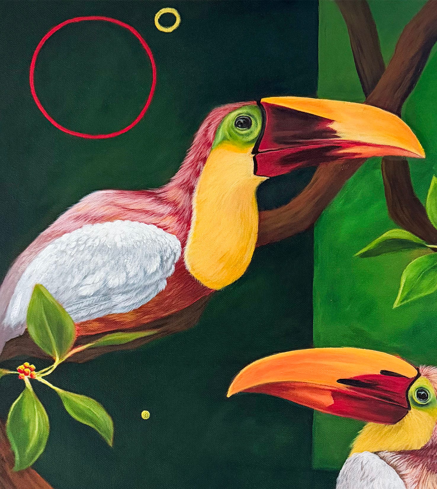 Rare White Leucistic Toucans thumbnail 4