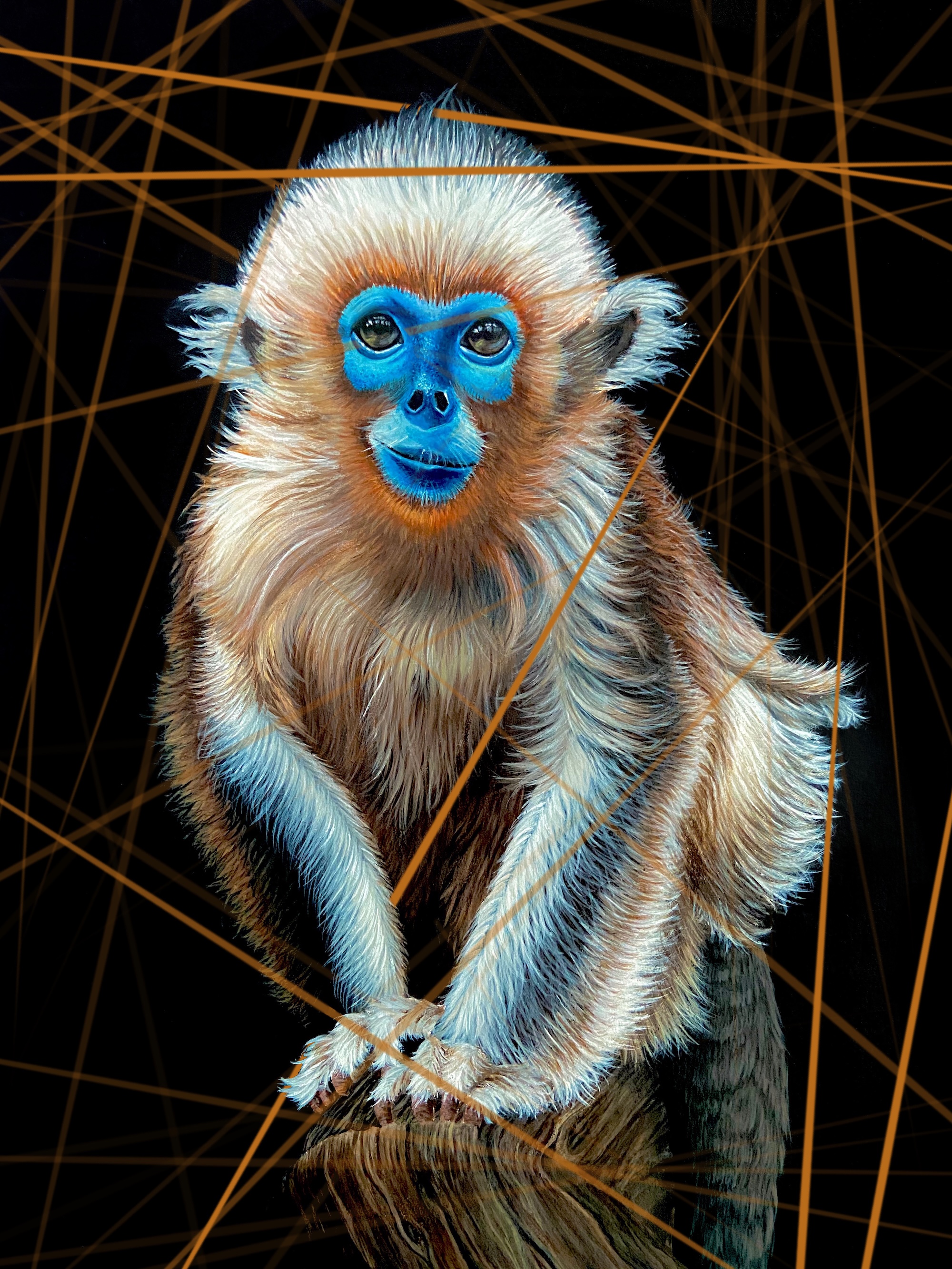 Blue Faced Monkey thumbnail 3