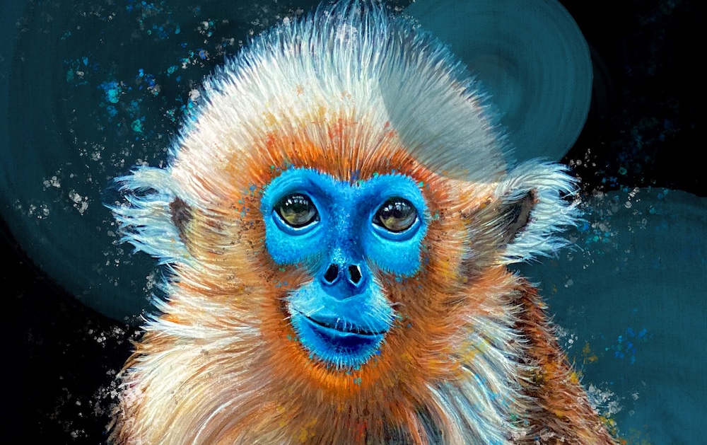 Blue Faced Monkey thumbnail 6
