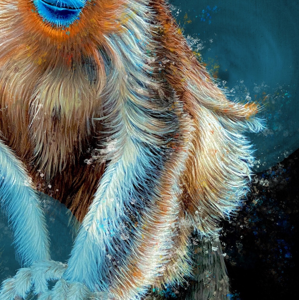 Blue Faced Monkey thumbnail 7