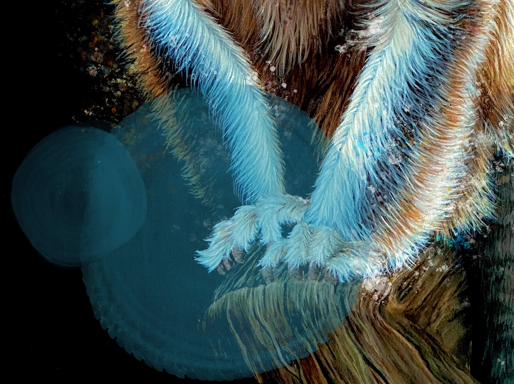 Blue Faced Monkey thumbnail 8