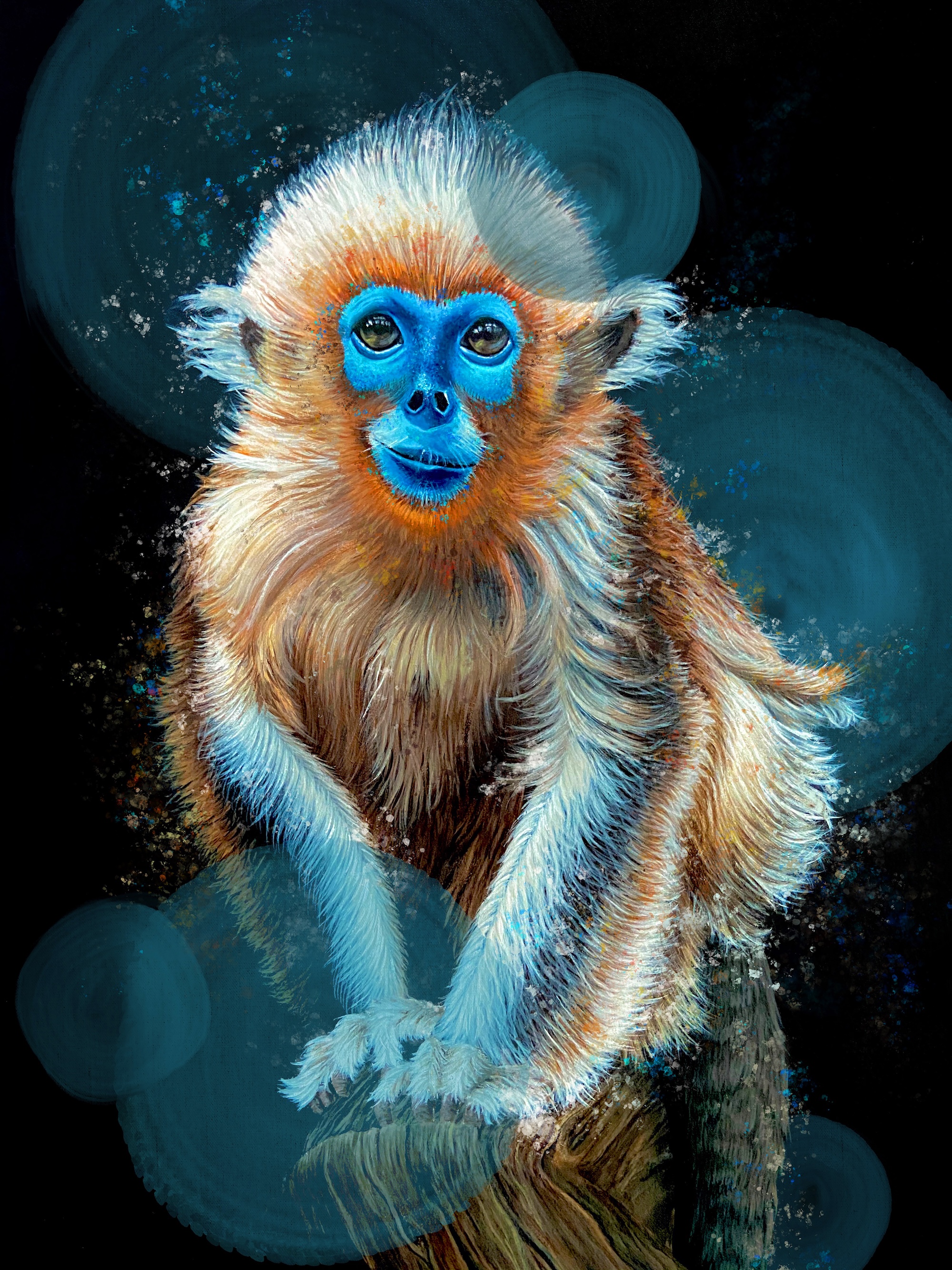 Blue Faced Monkey