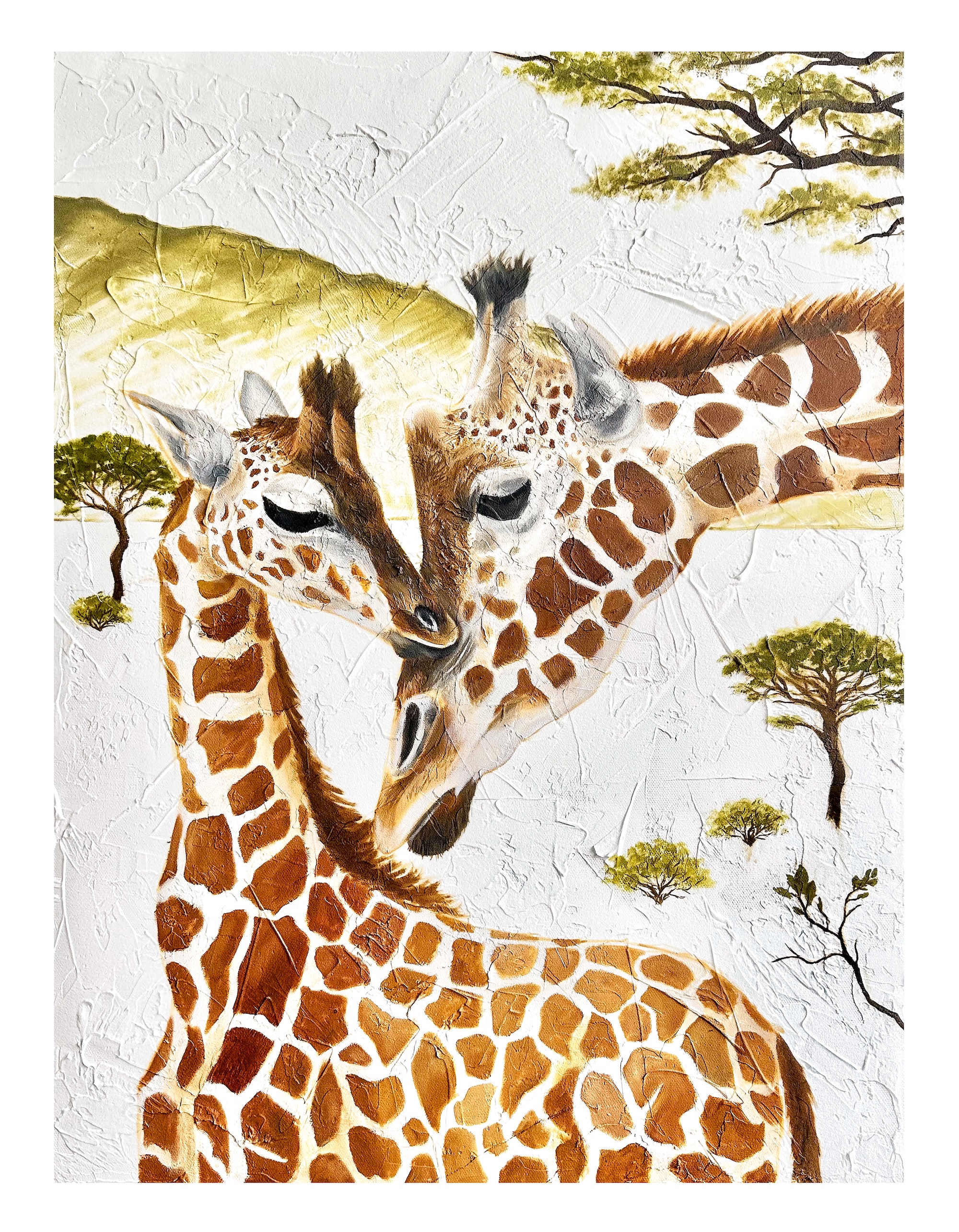 Giraffes