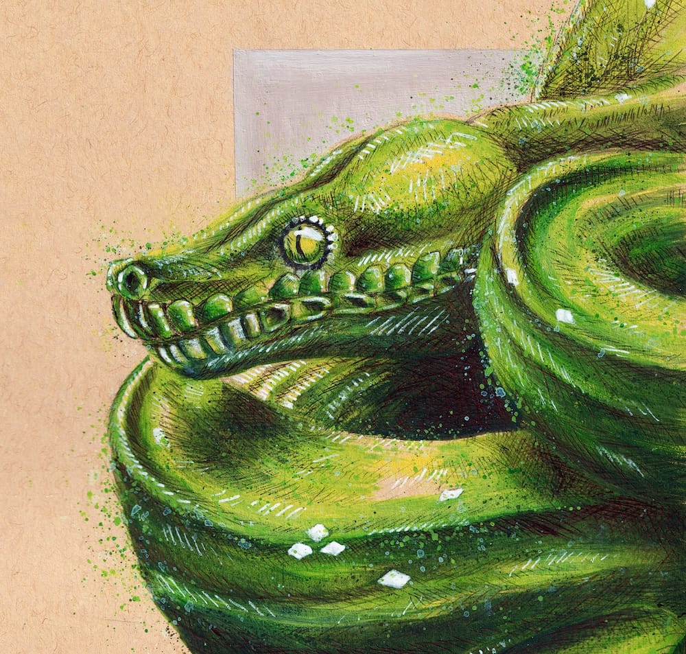 The Green Tree Python thumbnail 4