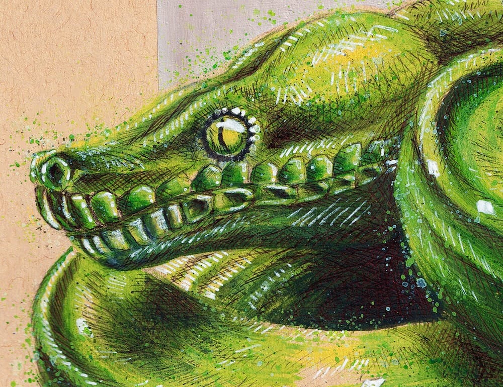 The Green Tree Python thumbnail 6
