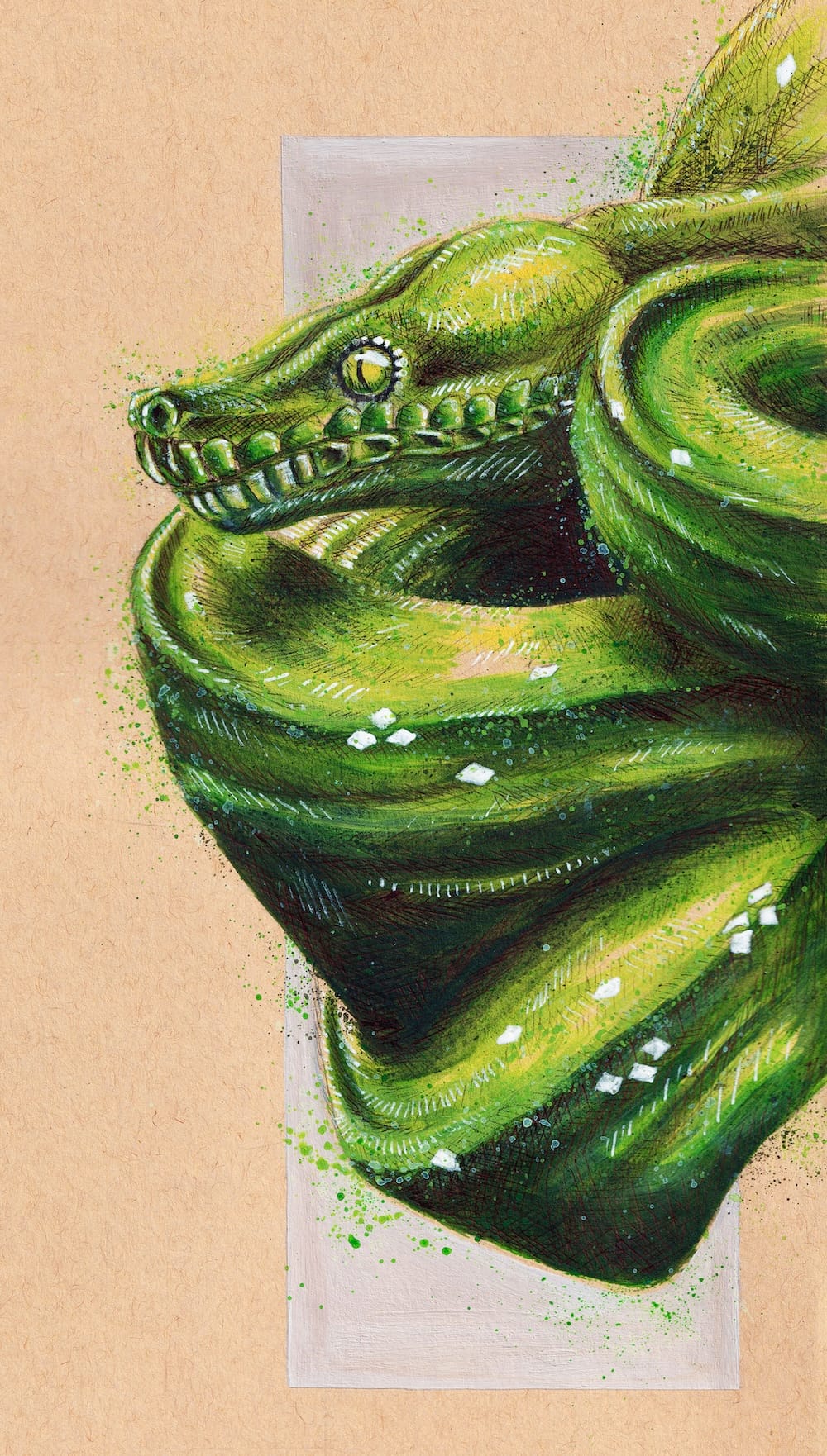 The Green Tree Python
