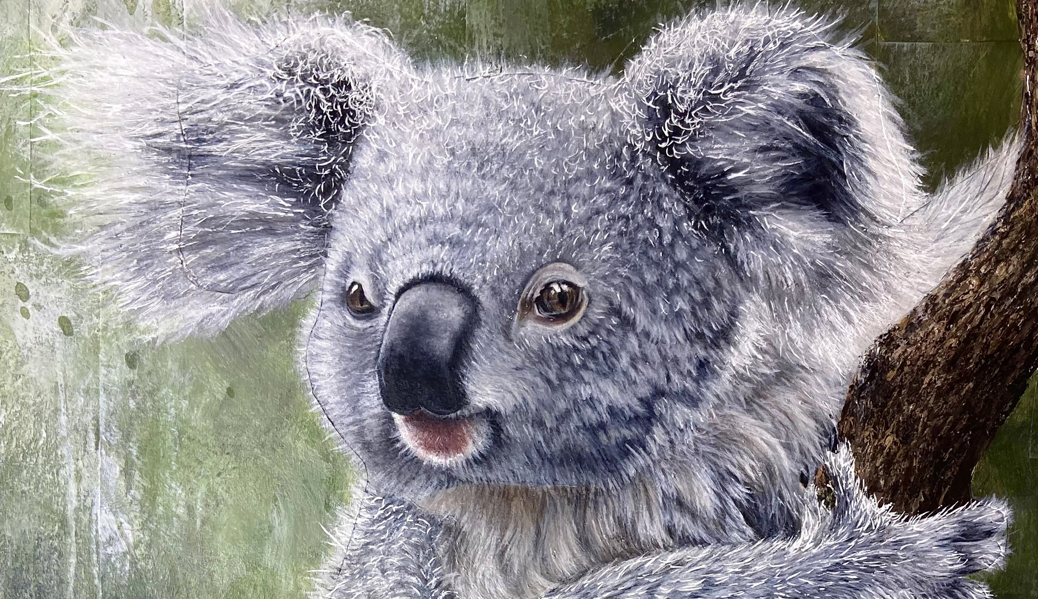Koala Piece thumbnail 2