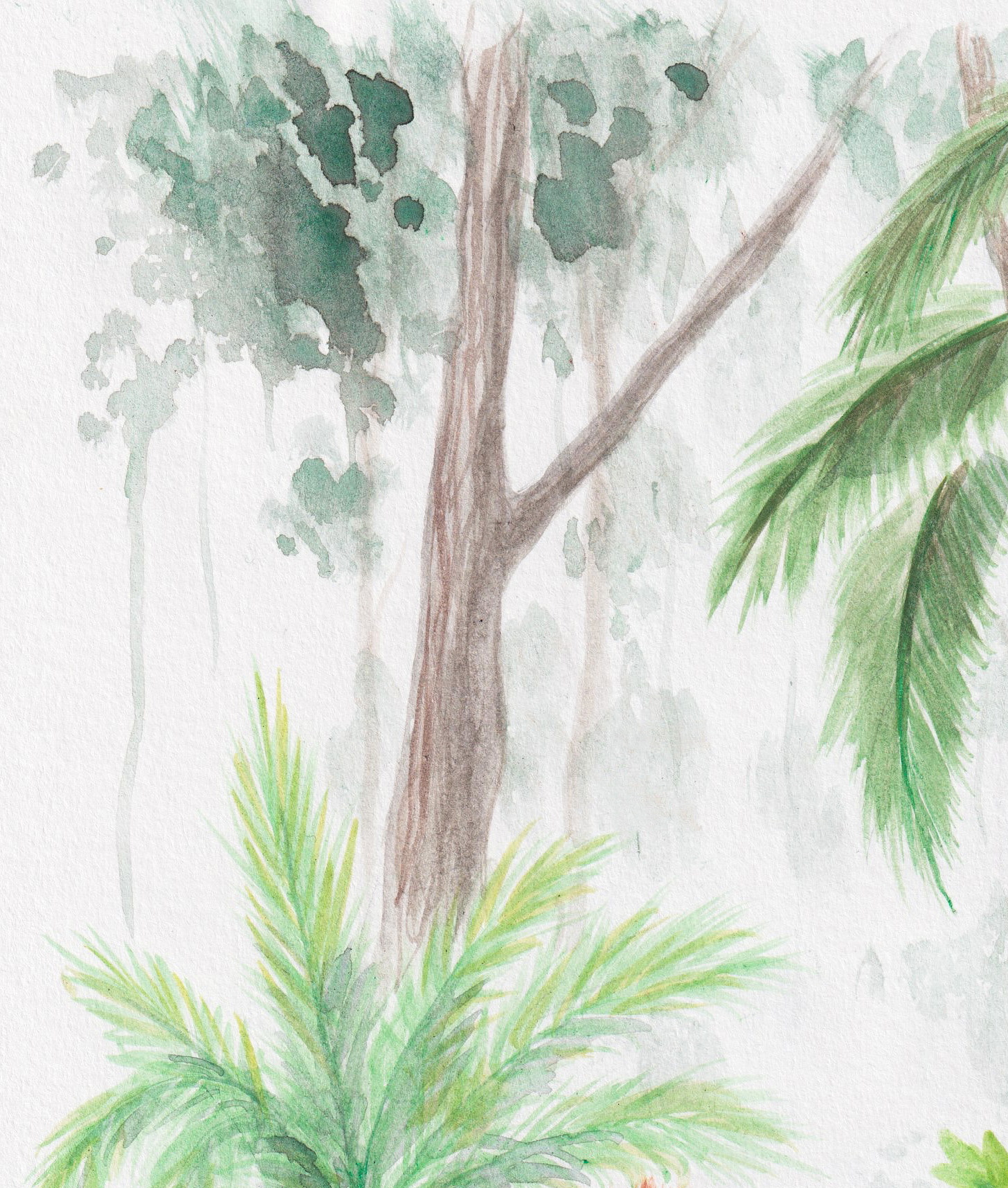 Monkeys in the Jungle thumbnail 2