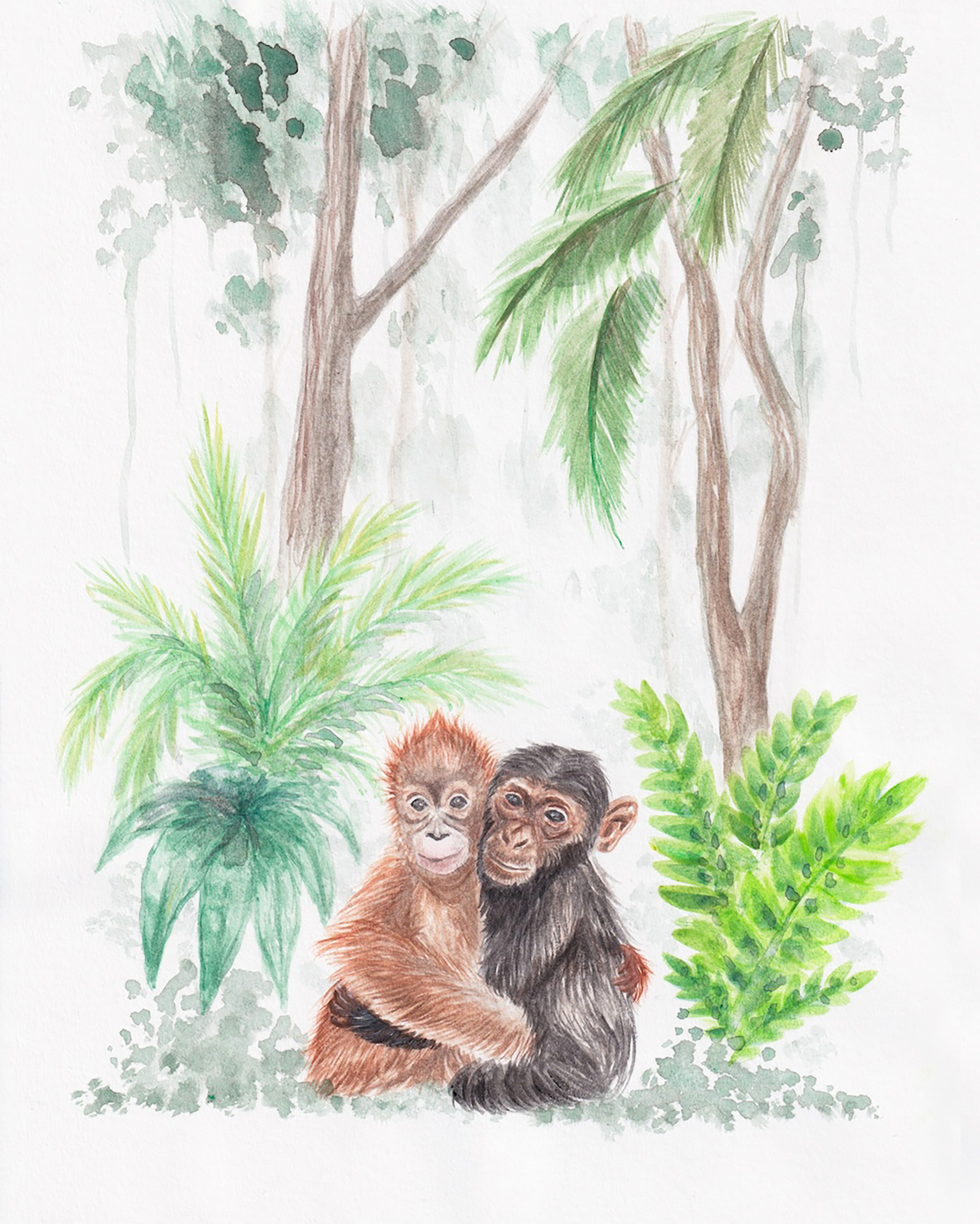 Monkeys in the Jungle