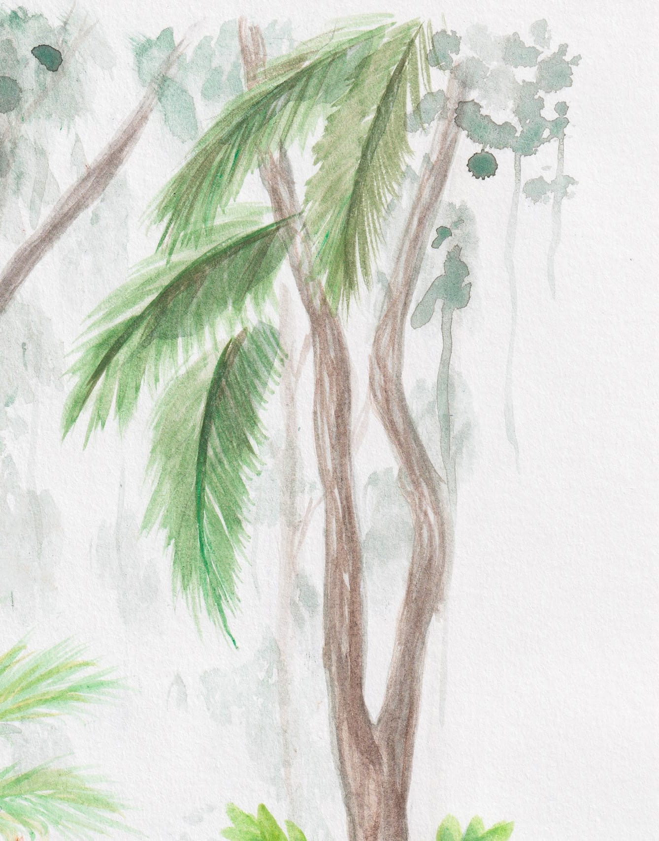 Monkeys in the Jungle thumbnail 6