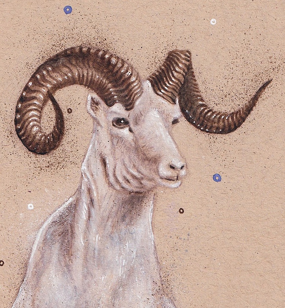 Mountain Goat in Field thumbnail 2