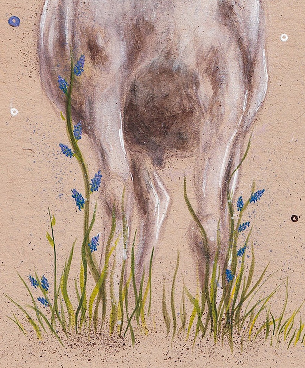 Mountain Goat in Field thumbnail 3