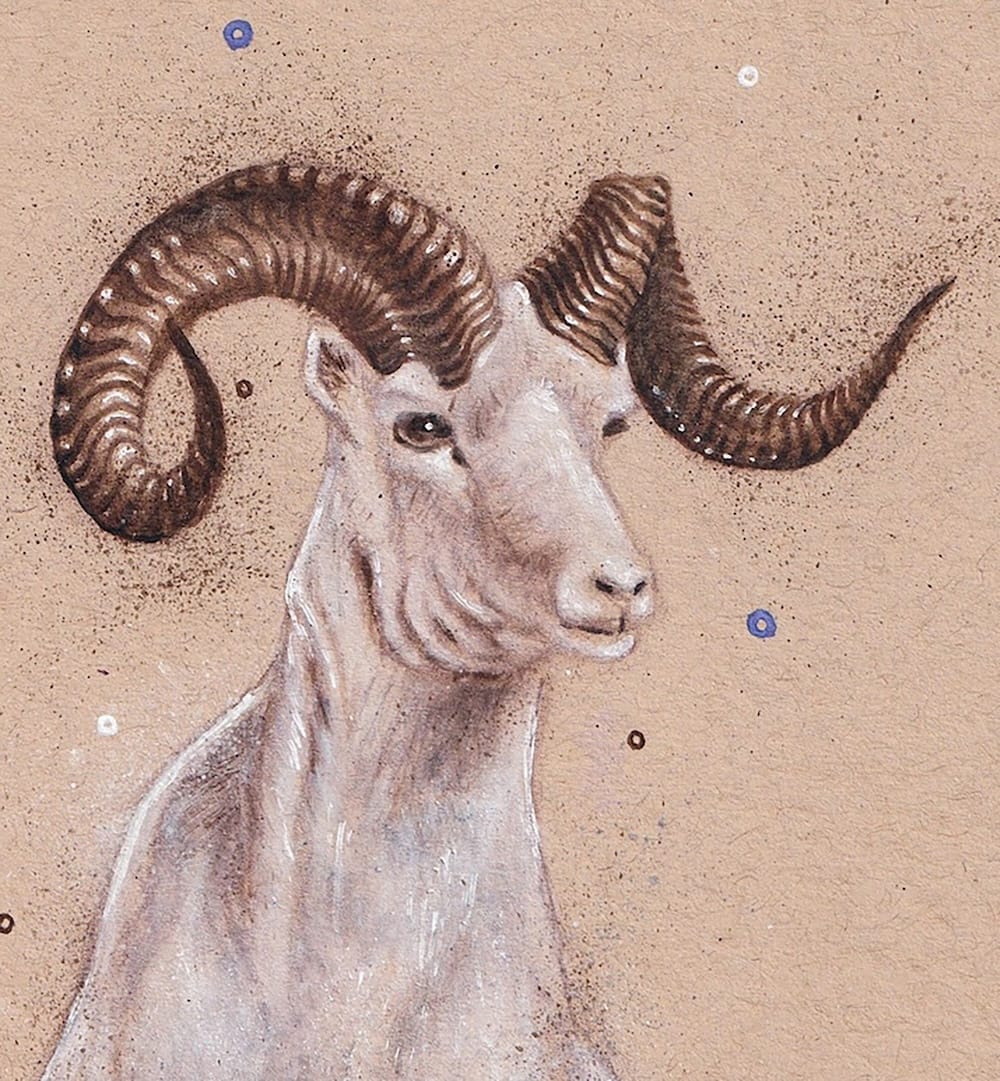 Mountain Goat in Spring thumbnail 4