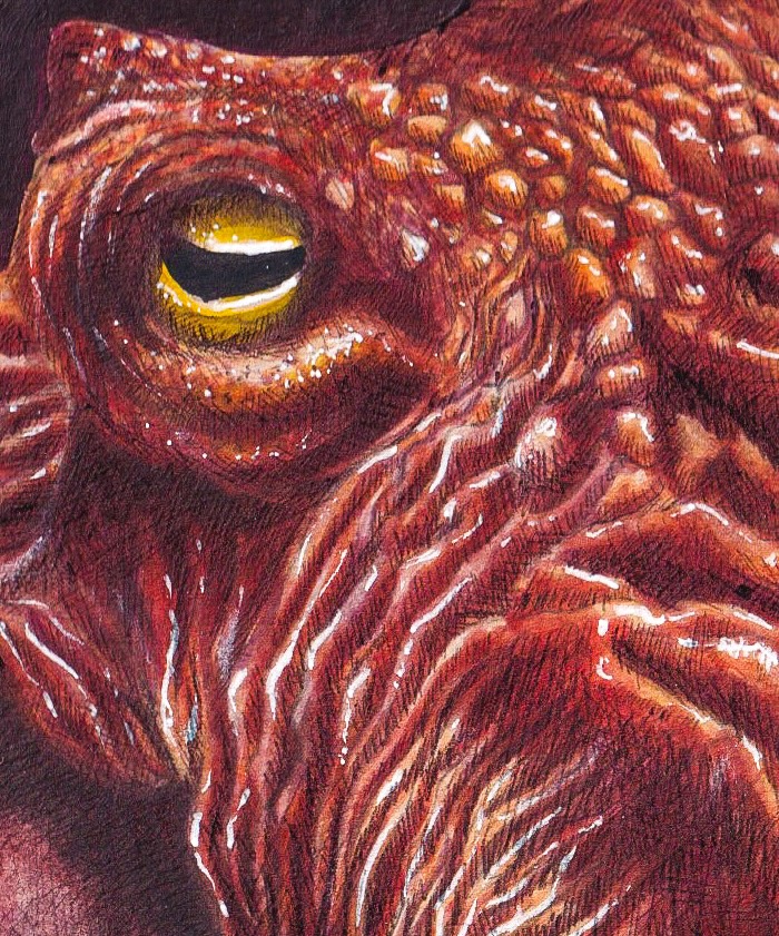 Octopus Mixed Media thumbnail 3