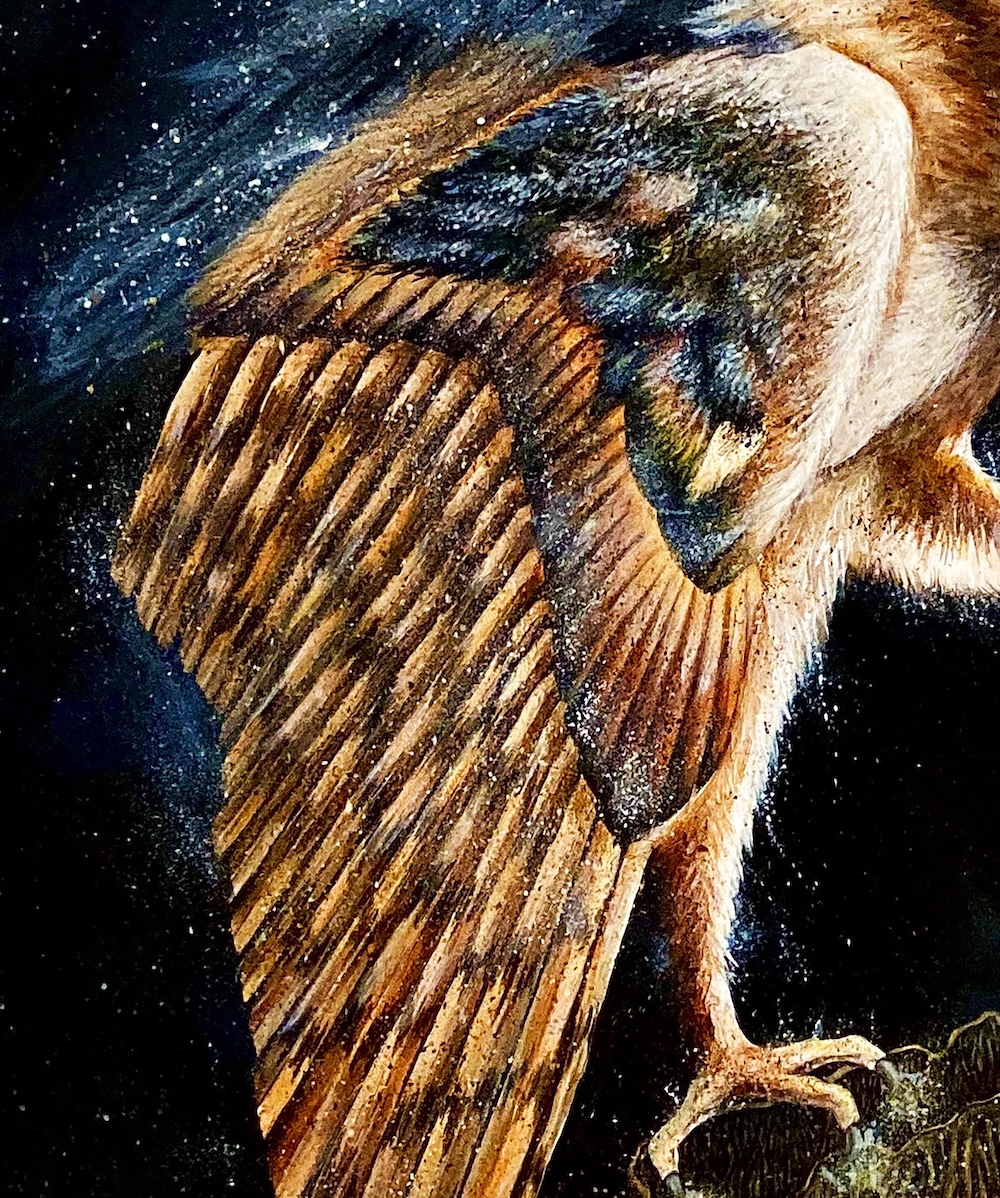 Owl thumbnail 3