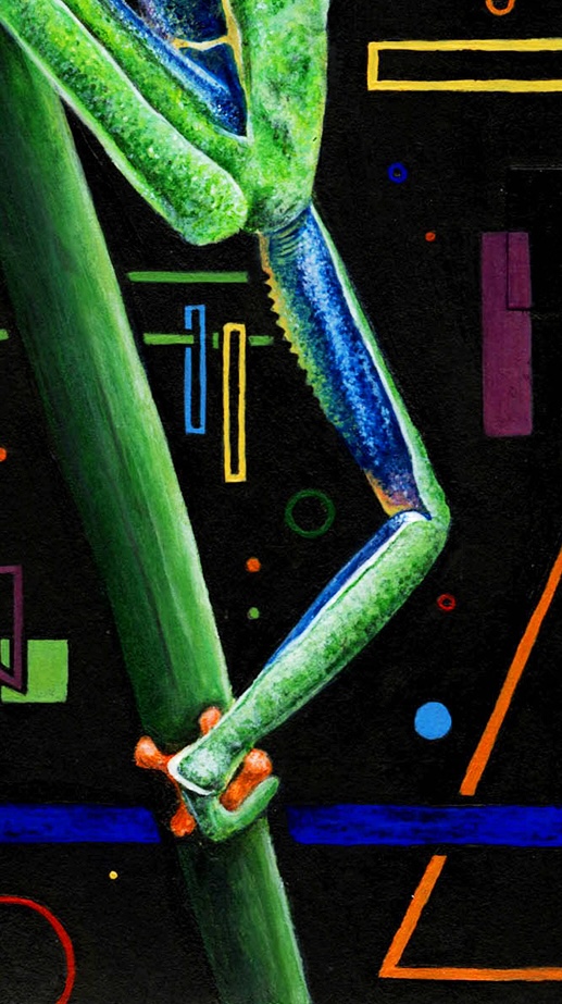 Red-Eyed Tree Frog thumbnail 3