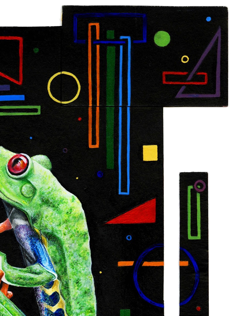 Red-Eyed Tree Frog thumbnail 4