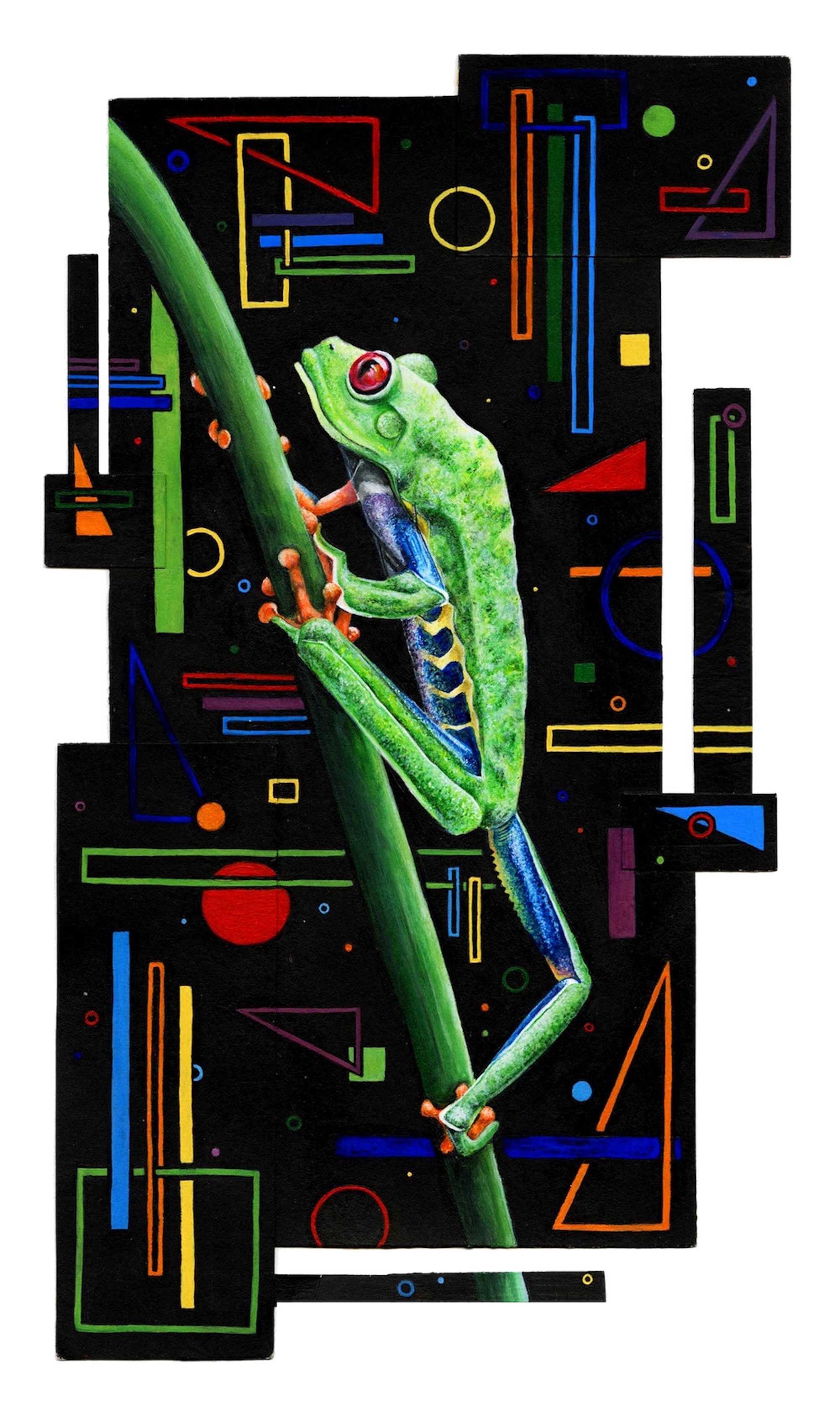 Red-Eyed Tree Frog