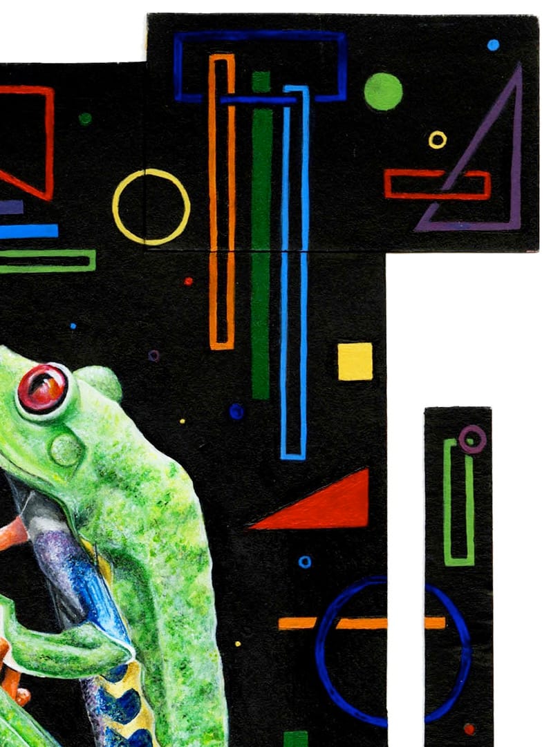 Red-Eyed Tree Frog thumbnail 7