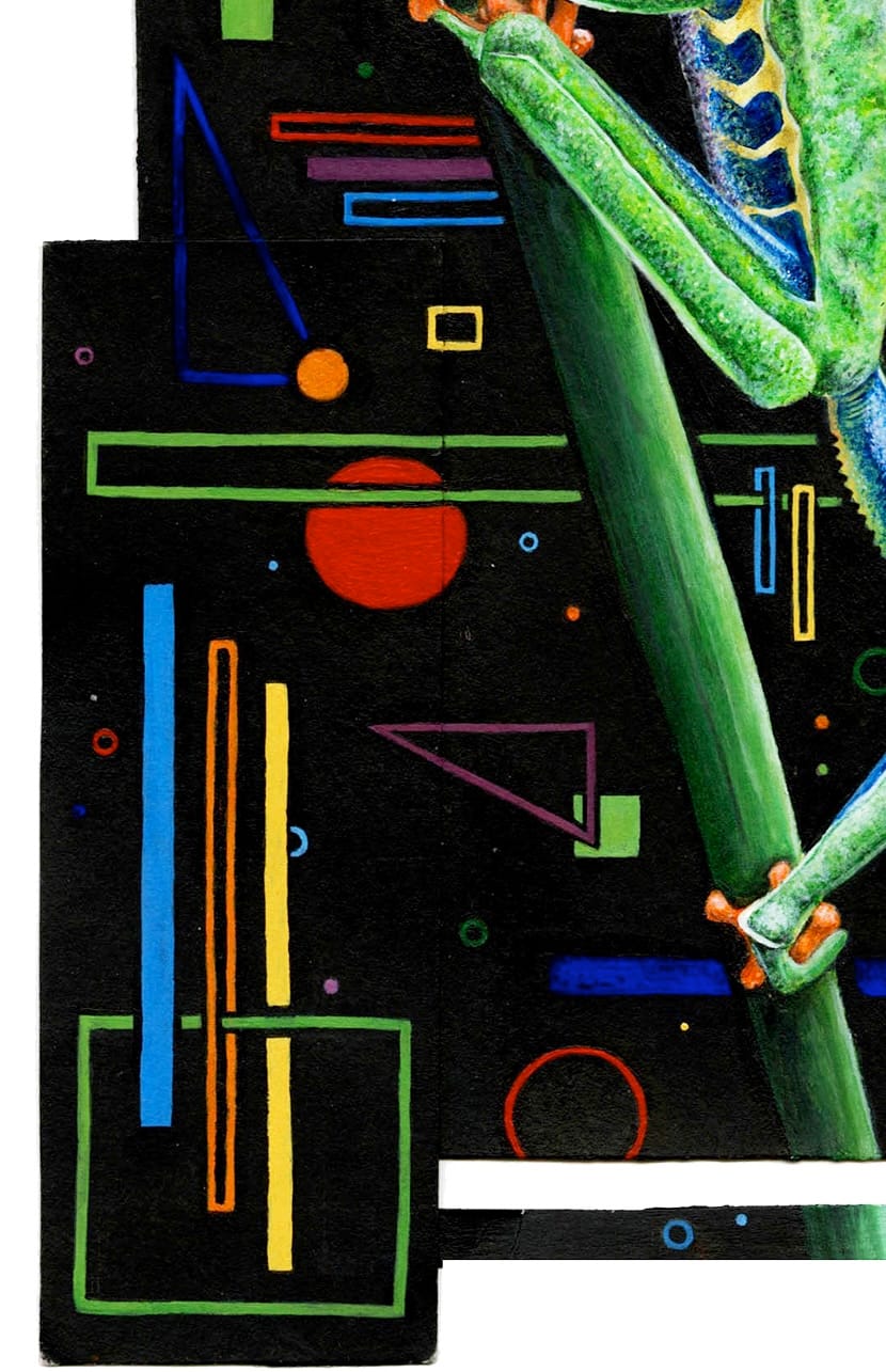 Red-Eyed Tree Frog thumbnail 8