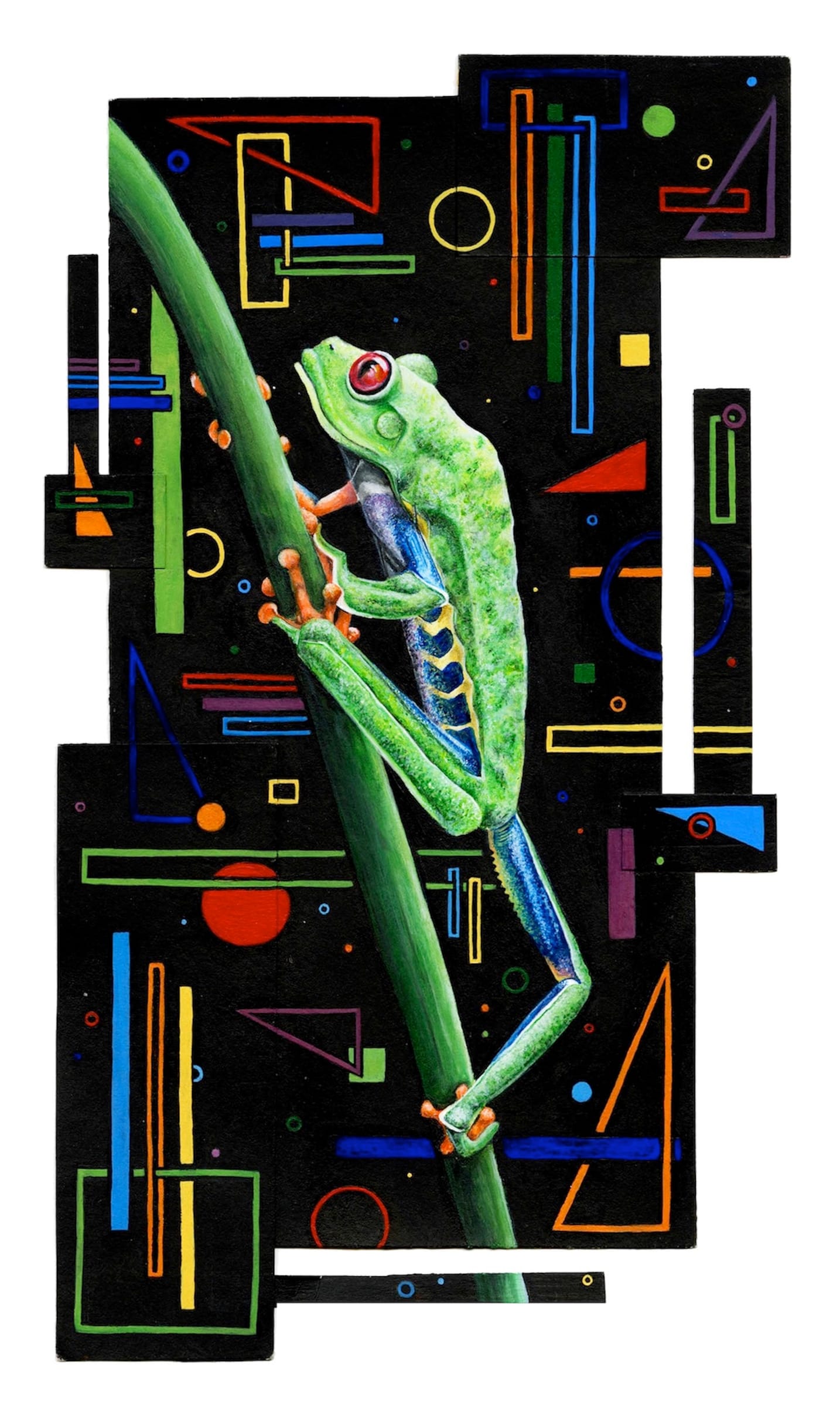 Red-Eyed Tree Frog