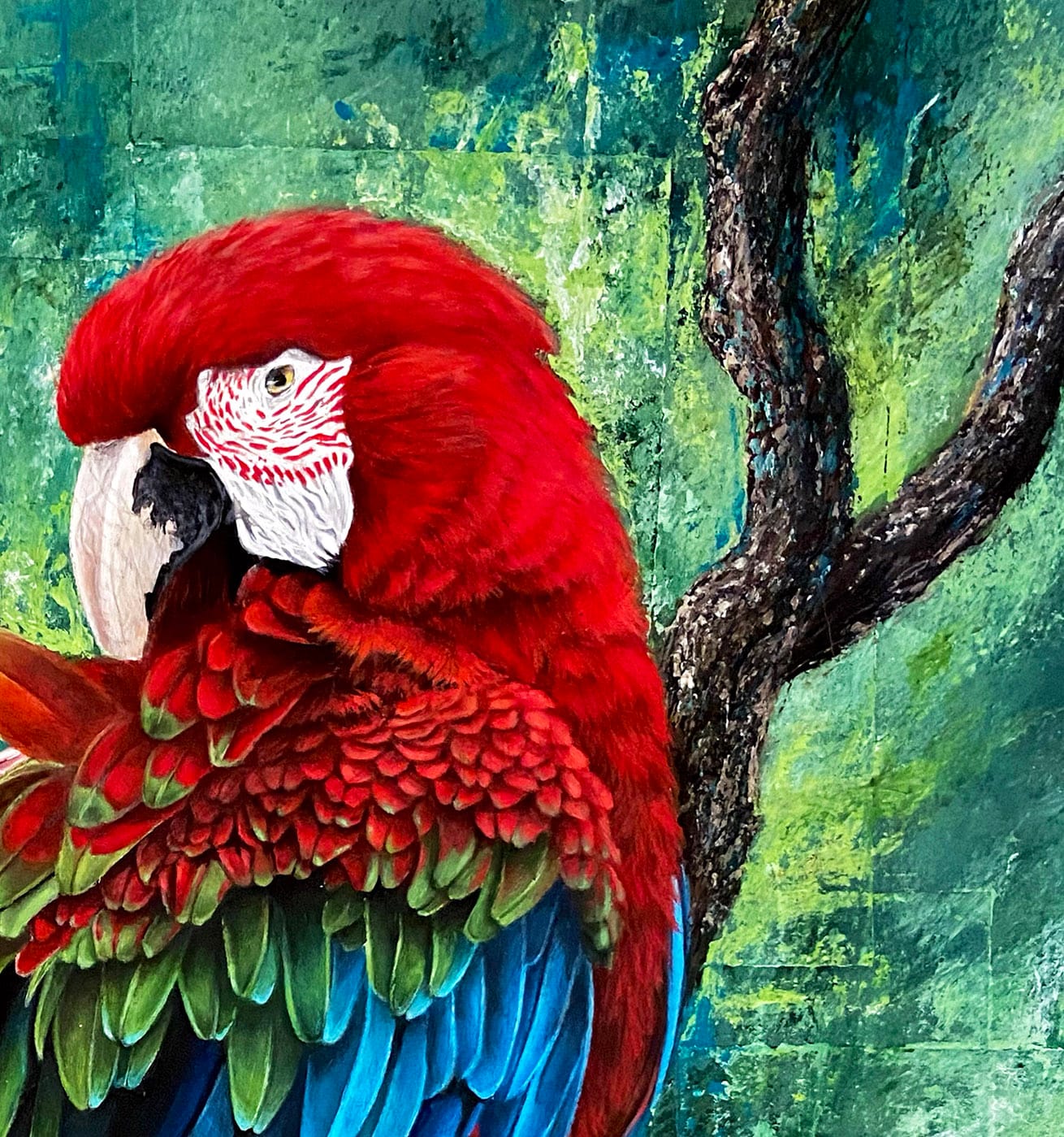 Scarlet Macaw thumbnail 5