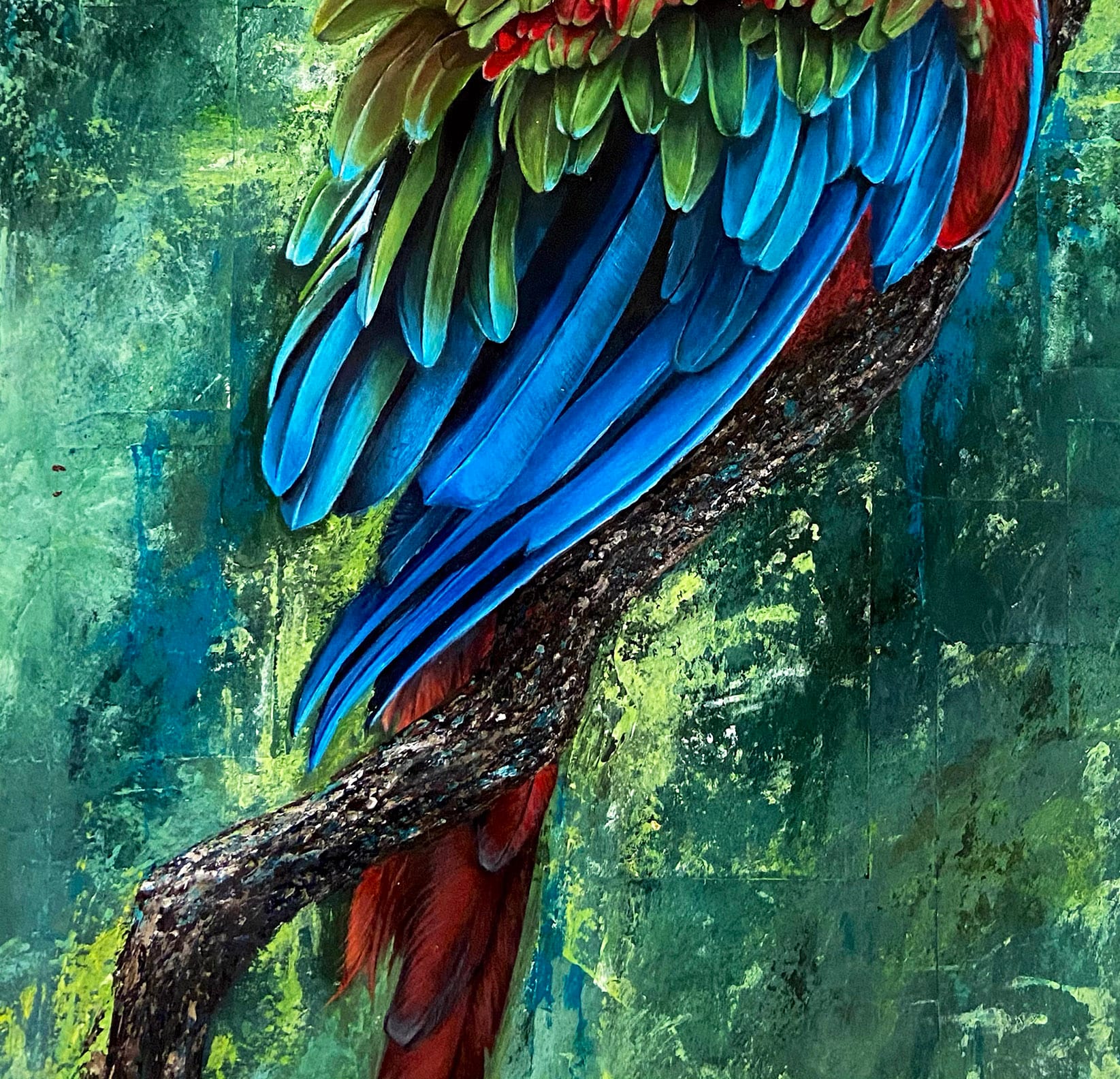 Scarlet Macaw thumbnail 6