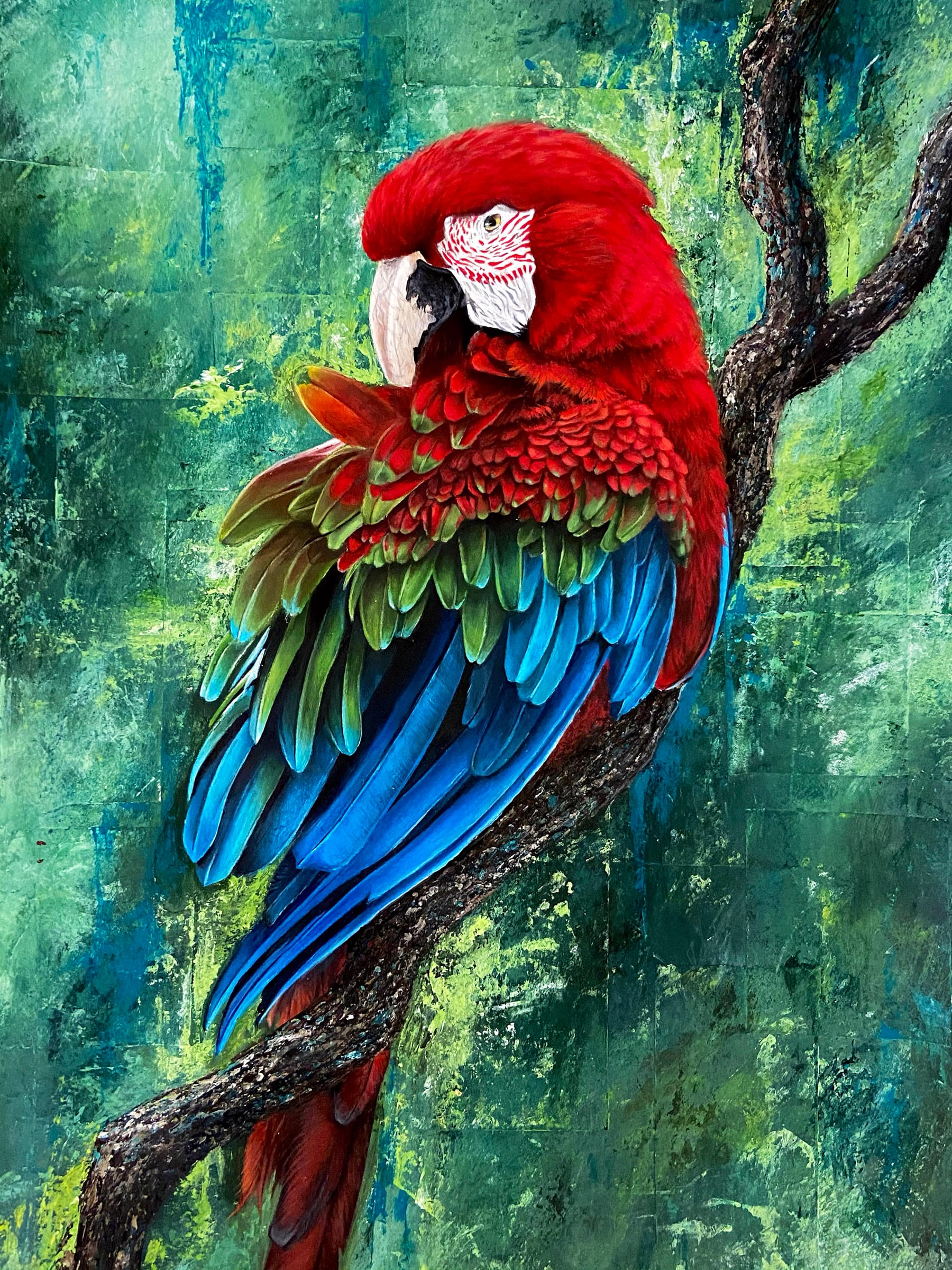 Scarlet Macaw