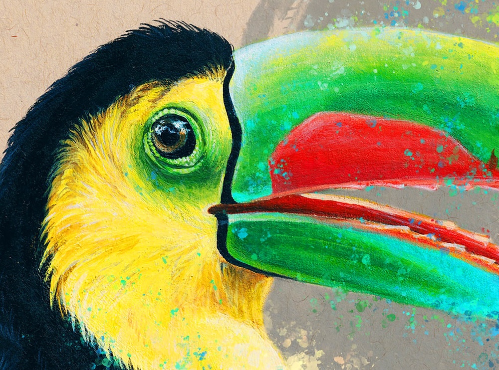 Toucan thumbnail 2
