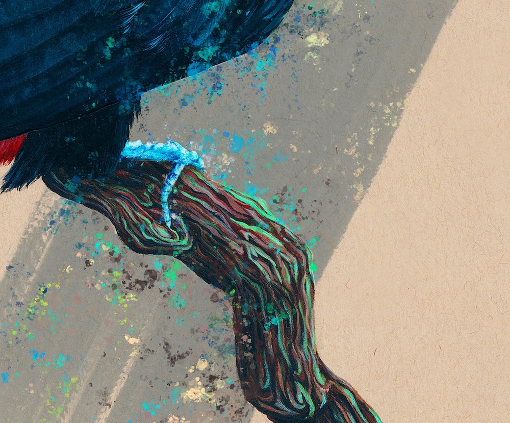 Toucan thumbnail 4
