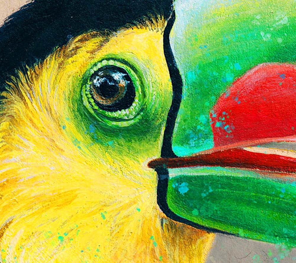Toucan thumbnail 6