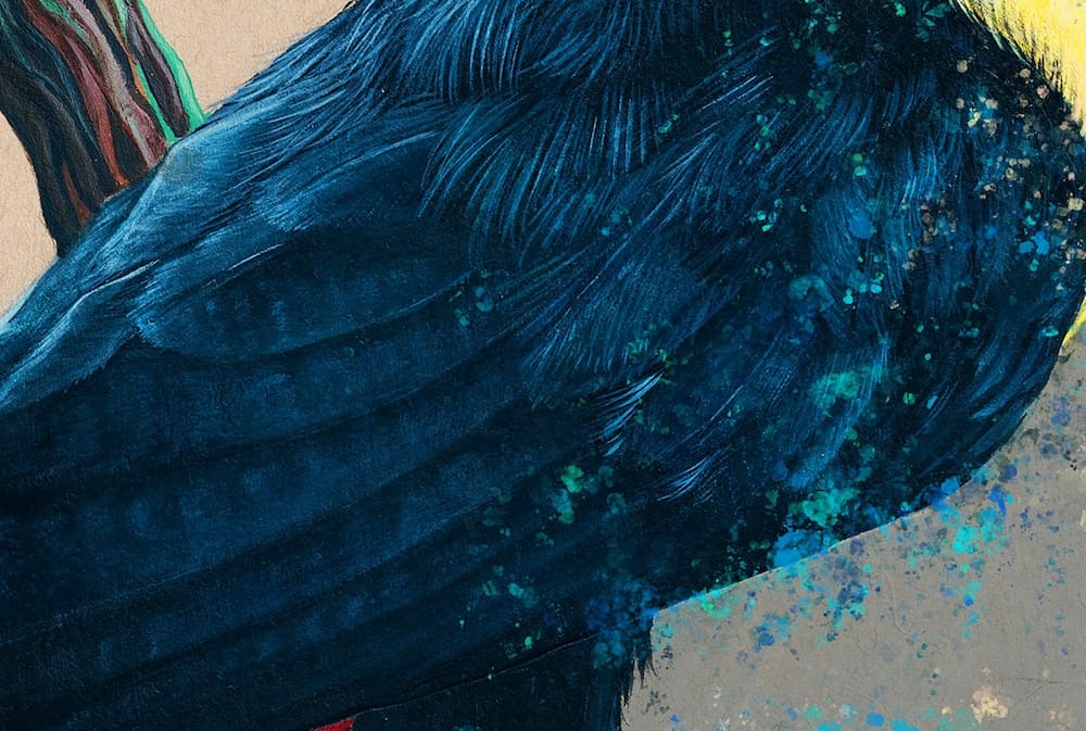 The Keel-billed Toucan thumbnail 9
