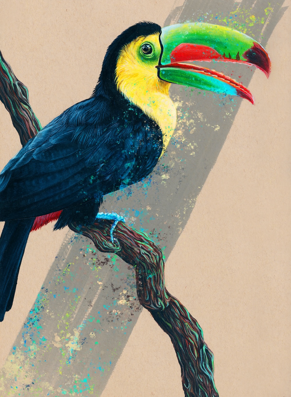 Toucan