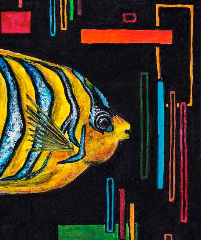 Regal Angelfish thumbnail 6
