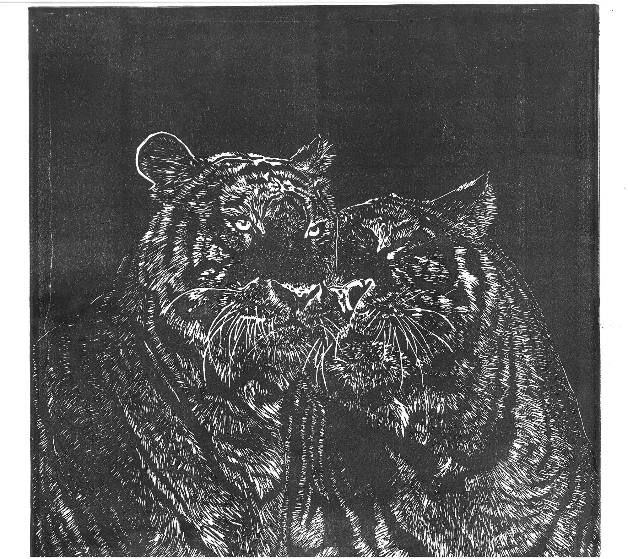 Tiger Linoprints thumbnail 6