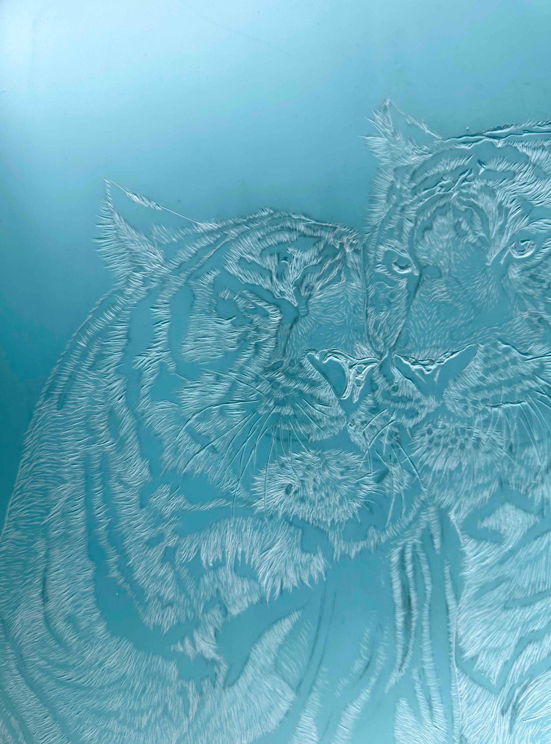 Tiger Linoprints thumbnail 10