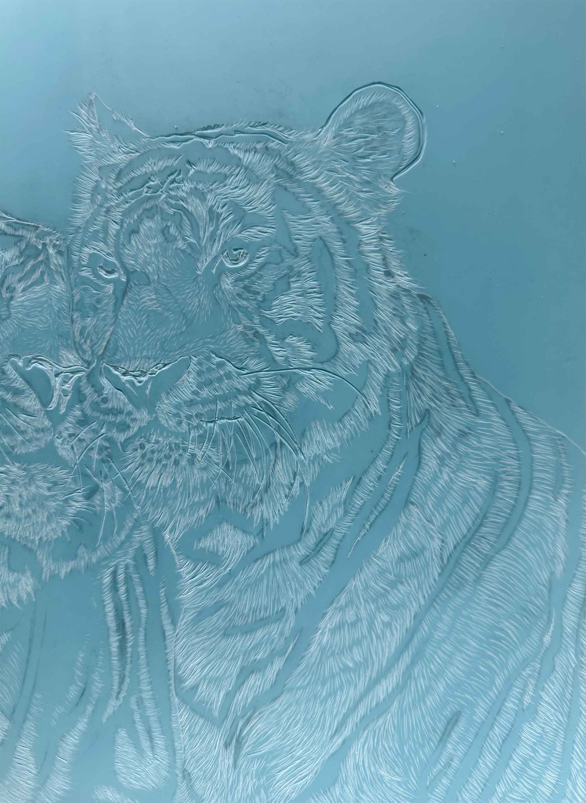 Tiger Linoprints thumbnail 11