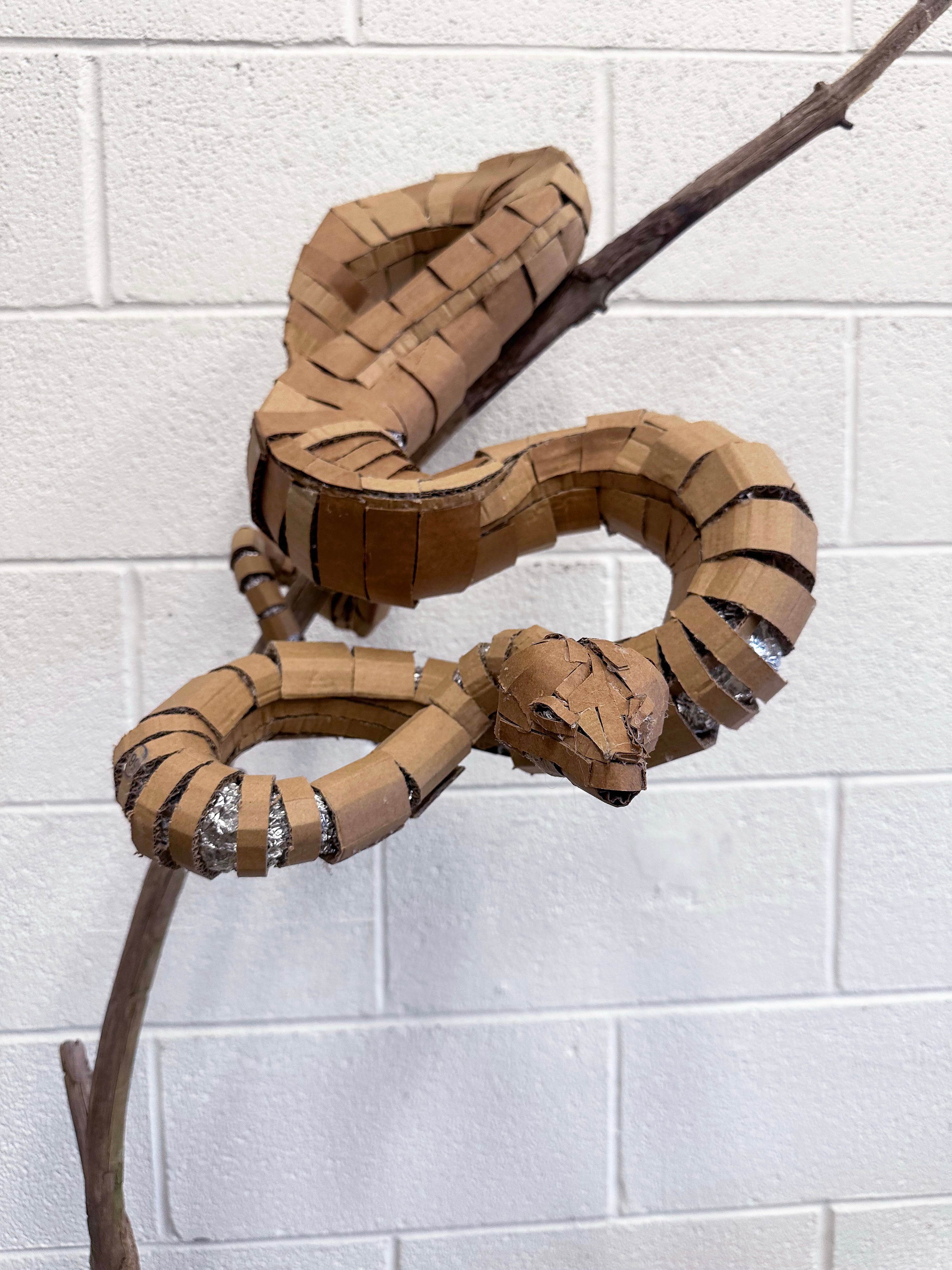 Cardboard Snake Sculpture thumbnail 5
