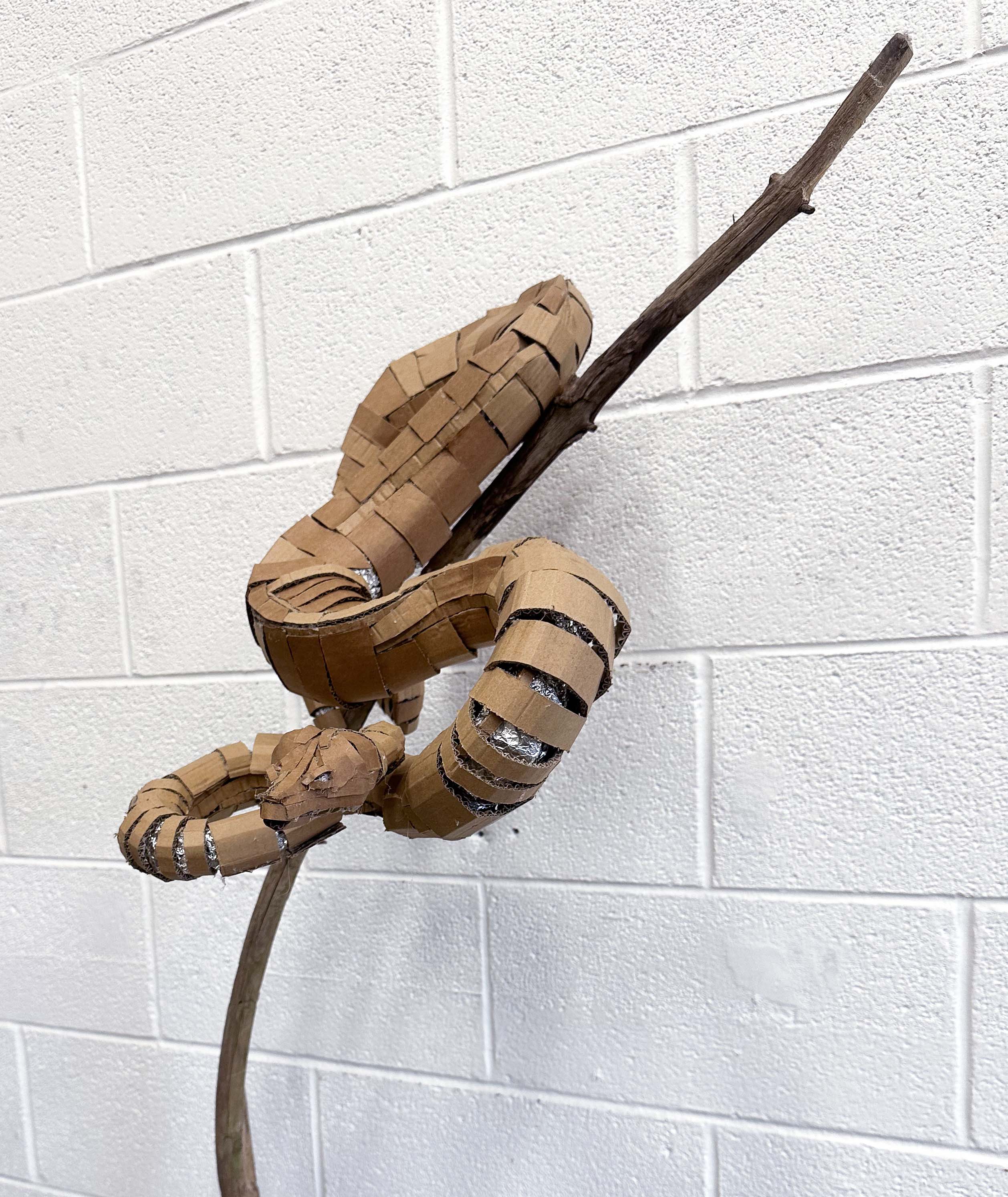 Cardboard Snake Sculpture thumbnail 6