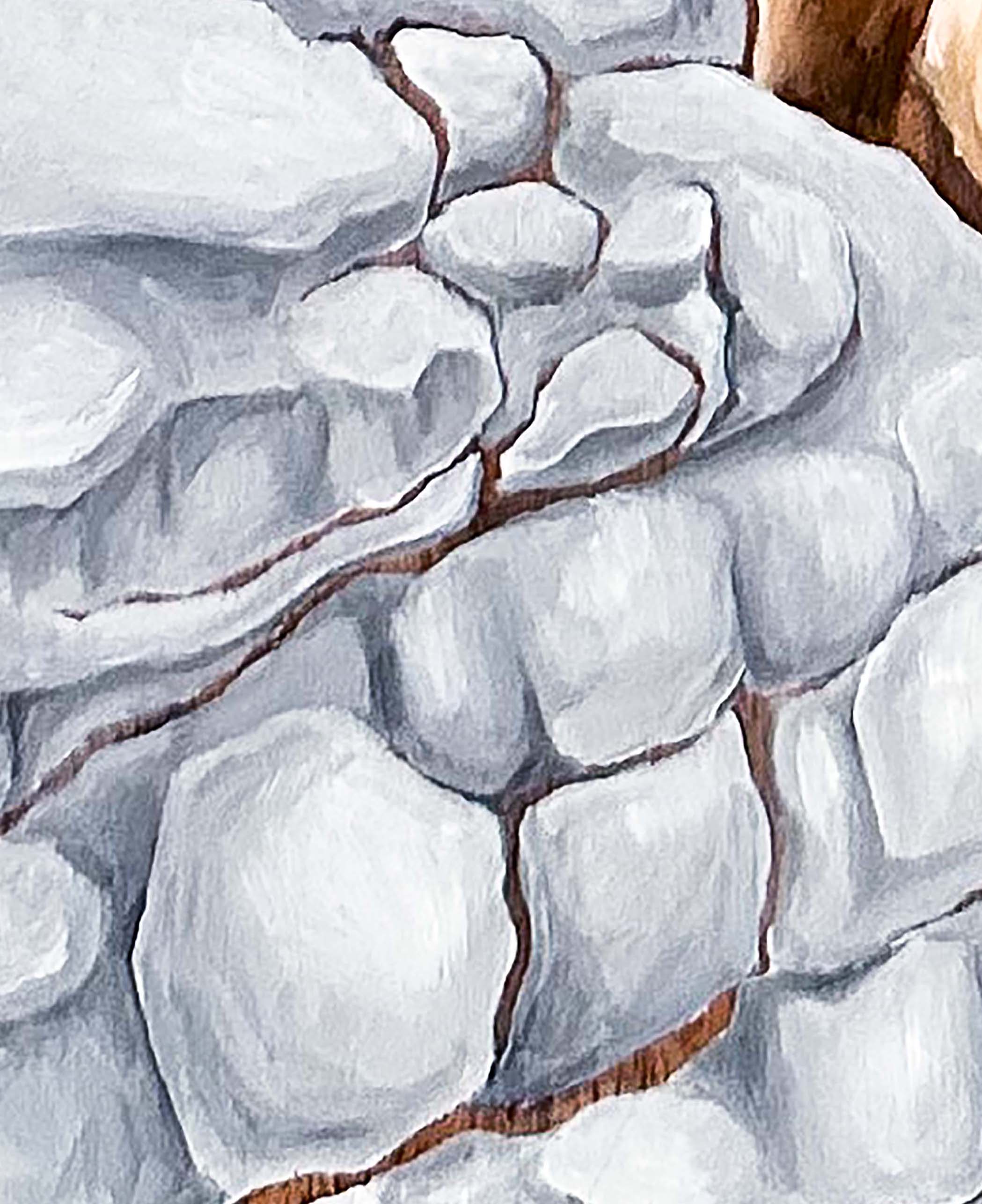 Mountain Goats thumbnail 6