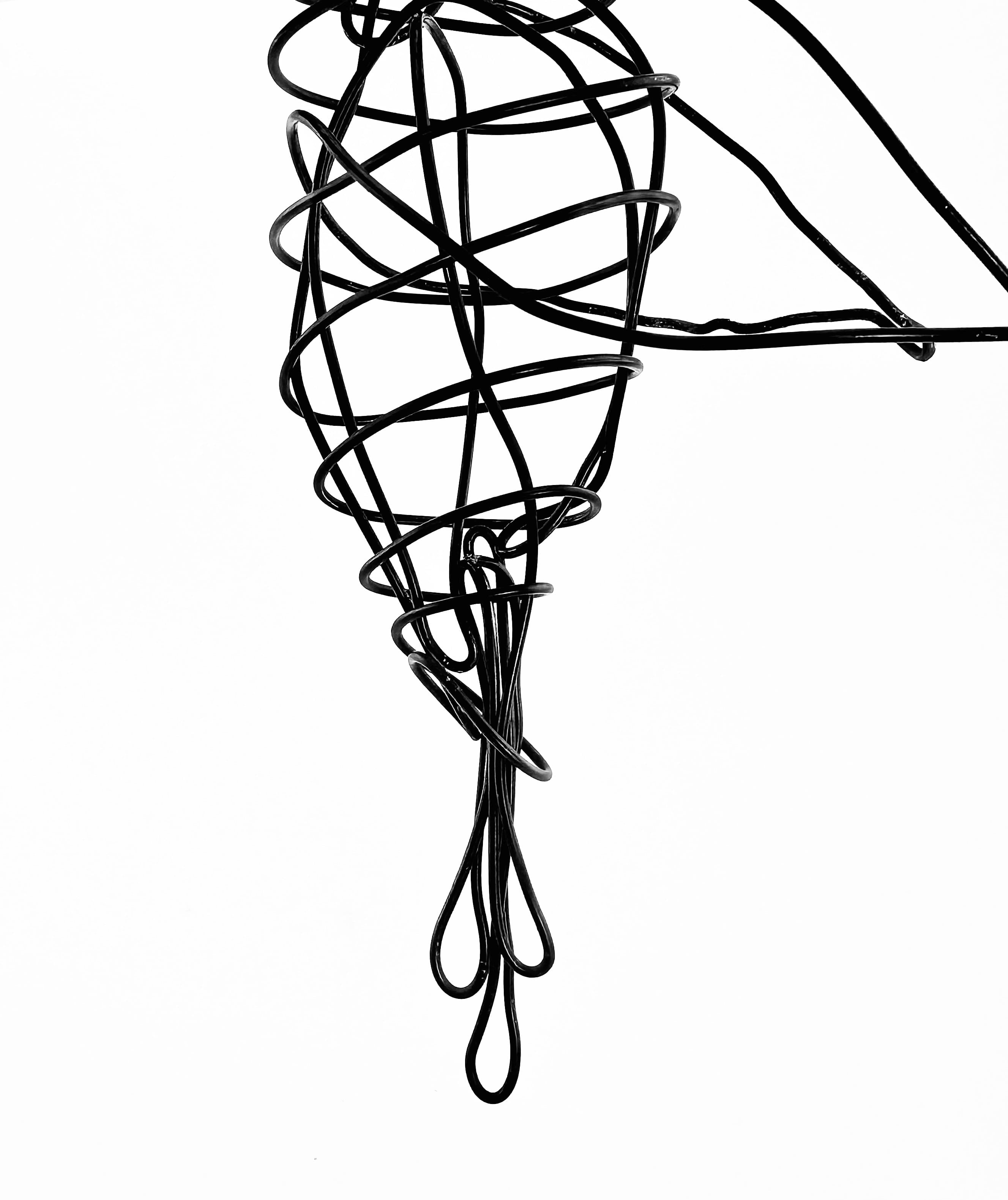 Wire Hummingbird thumbnail 3